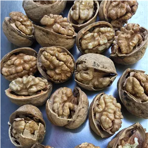 گردو با پوست کاغذی1000 گرم ( امساله 1404)