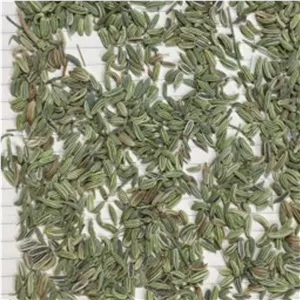 دانه رازیانه ارگانیک 1 کیلوگرم