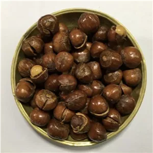 فندق با پوست نمکی 500گرم (محصول ایرانی قزوین)
