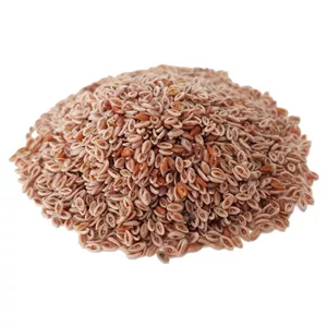 اسفرزه 100گرم
