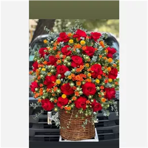  سبد گل رز قرمز و رز مینیاتوری نارنجی (گلفروشی تربت حیدریه آلپینا)