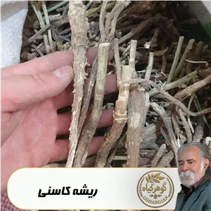 ریشه کاسنی تمیز شده ـ 100 گرمی