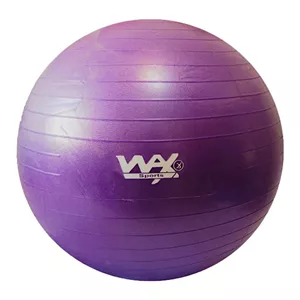توپ جیم بال وکس WAX ریچ اسپرت