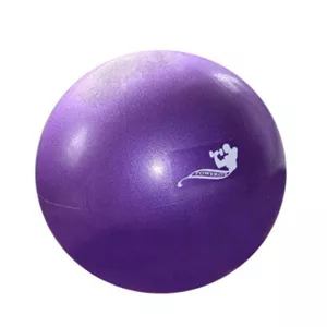 توپ ایروبیک ( جیم بال ) POWERGYM ریچ اسپرت