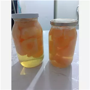 کمپوت خانگی ارگانیک
