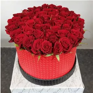 باکس گل رز قرمز 50 شاخه (گلفروشی تربت حیدریه آلپینا)