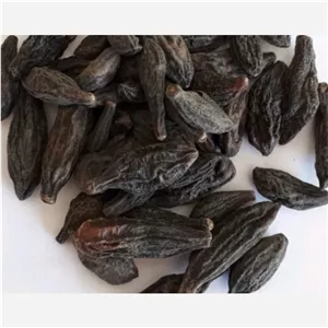 هلیله سیاه 