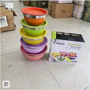 لگن استیل درب دار رنگی