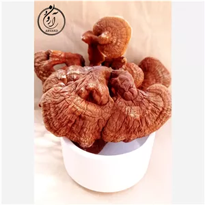  گانودرما 200 گرمی