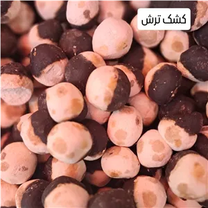 کشک قره قوروت ترش 