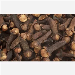 پودر میخک از 100 گرم تا 1 کیلو