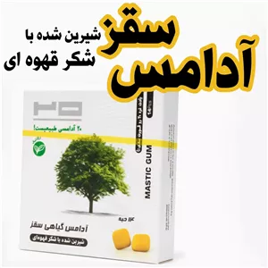 آدامس سقز بیست 14 عددی  در طعم های مختلف 