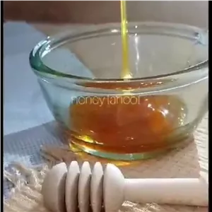 عسل ارگانیک پونه کوهی لاهوت