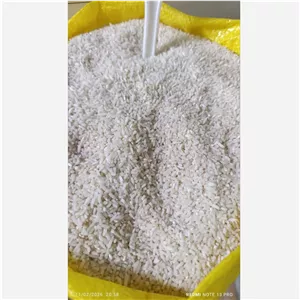 برنج سرلاشه هاشمی