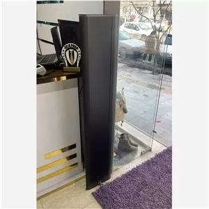 گیت دزدگیر باریک RF(جفت آنتن)