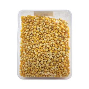 ذرت پاپ کورن  500گرم 