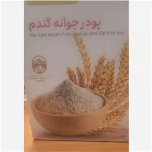 پودر جوان گندم 