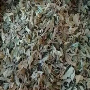 برگ سدر