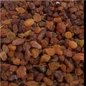 کشمش درگز کشمش تیزابی کشمش قوچان کشمش داندار 