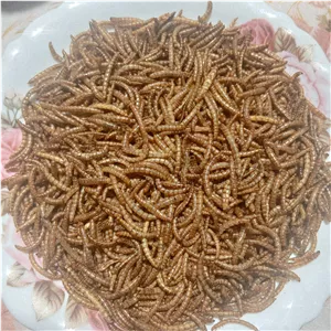 میلورم خشک شده. بسته 1 کیلو گرمی