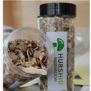 مایتاکه قارچ 70 گرمی خوش عطر 