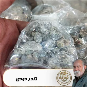 کندر دودی (کندر بنه) - 50گرمی