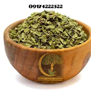 آویشن پهن برگ