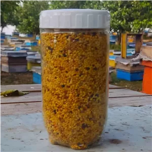 گرده گل با تنوع رنگ بالا 