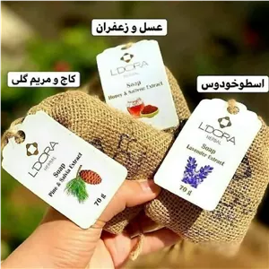 پن های گیاهی 