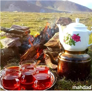 چای قلم درجه یک بهار 1405 محصول لاهیجان