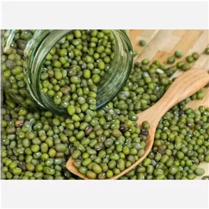 ماش . تمیز . یک کیلویی 