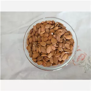 مغز بادام درختی درجه یک خرید بدون واسطه مستقیم از کشاورز