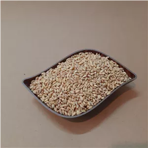 گندم کامل با پوست مخصوص جوانه و سمنو و آرد و نان - 500 گرمی
