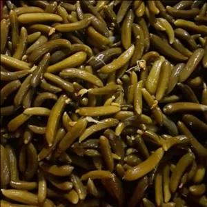 خیارشور ریز،سوپر لوکس یک لیتری خانگی همراه باسبزیجات معطر گیلان.رشت 