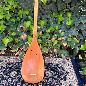 تنبور استاد سوزنی