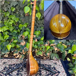 سه تار استاد نعمت اللهی الگوی هاشمی هفده ترک