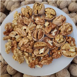 گردو محلی کوهستان یک کیلویی ارگانیک و پُرچرب امساله