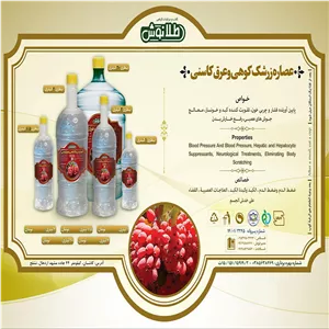 عصاره زرشک کوهی و کاسنی یک و نیم لیتری