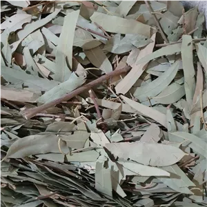 برگ اکالیپتوس 100 گرم 