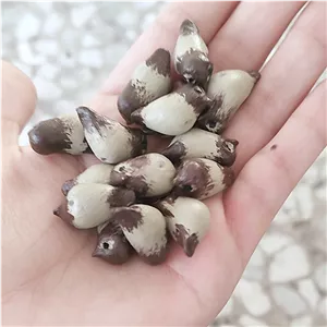 خرج کار و ماکت مدل گنجشک کوچولو پرنده مینیاتوری 