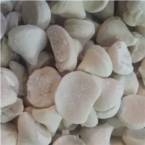 کشک دونم محلی وسنتی وتنقلاتی چهارگل چهارمحال وبختیاری 