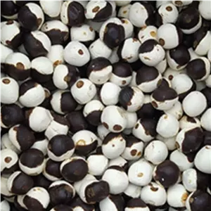 کشک قره قوروتی تازه 500گرمی طعم متفاوت دلنشین