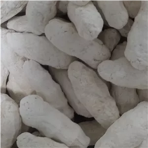 کشک مشتی گاوی بیرجند ارسال به سراسر کشور