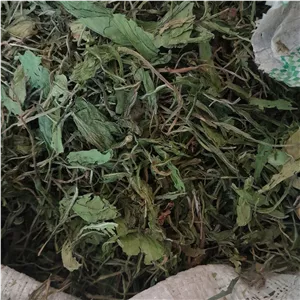 برگ کاسنی اعلا (ترخشقون) وزن انتخابی