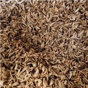 بهار نارنج 