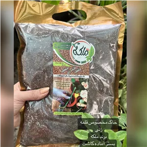 خاک قلمه زنی ملکه دولیتری