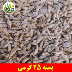 شکوفه سنجد ( گل سنجد ) اعلا ظرافت 25 گرمی
