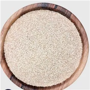کینوا گیاهی به سین