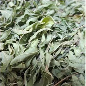 برگ به لیمو به سین