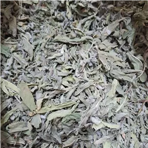 برگ پونه به سین
